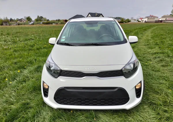 kia picanto Kia Picanto cena 30000 przebieg: 36251, rok produkcji 2018 z Głuchołazy